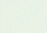2888