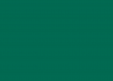 RAL 6016